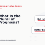 What Is the Plural of Prognosis?