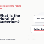 What Is the Plural of Bacterium?