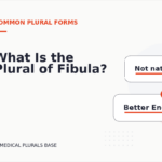 What Is the Plural of Fibula?