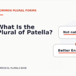 What Is the Plural of Patella?