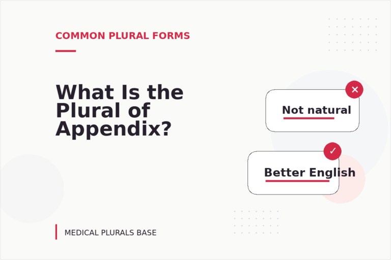 What Is the Plural of Appendix? What Is the Plural of Appendix?