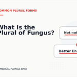 What Is the Plural of Fungus?