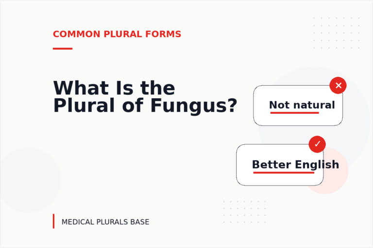 What Is the Plural of Fungus? What Is the Plural of Fungus?