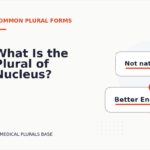 What Is the Plural of Nucleus?