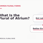 What Is the Plural of Atrium?