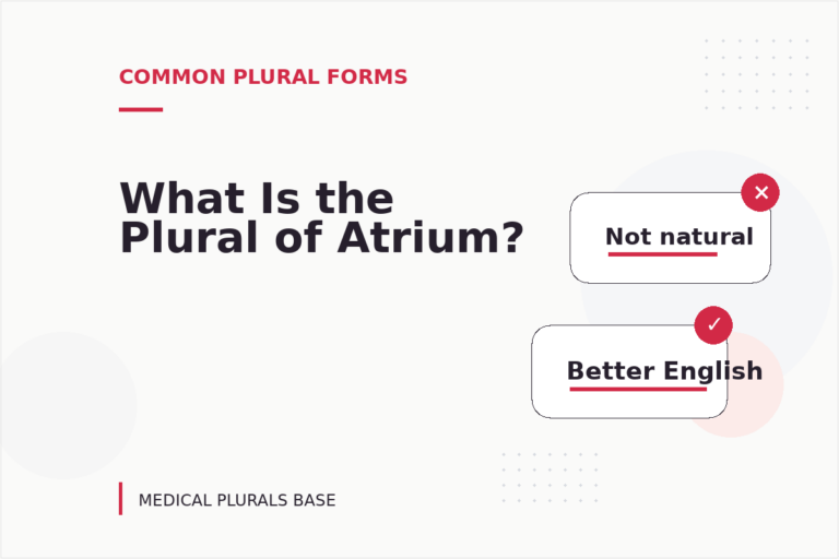 What Is the Plural of Atrium? What Is the Plural of Atrium?