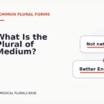What Is the Plural of Medium?