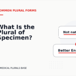 What Is the Plural of Specimen?