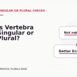 Is Vertebra Singular or Plural?