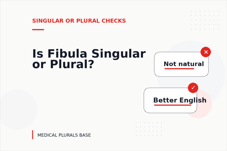 Is Fibula Singular or Plural? Is Fibula Singular or Plural?