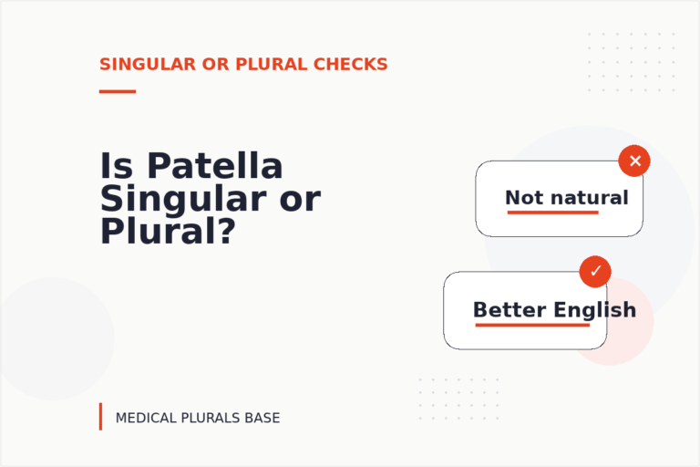 Is Patella Singular or Plural? Is Patella Singular or Plural?