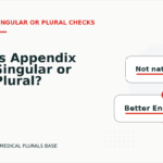 Is Appendix Singular or Plural?