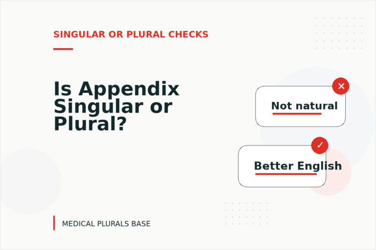 Is Appendix Singular or Plural?