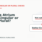 Is Atrium Singular or Plural?