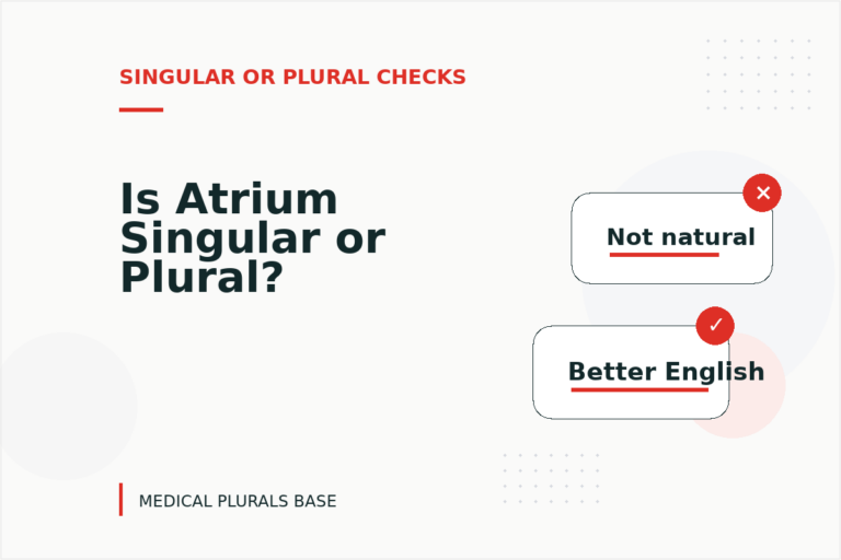 Is Atrium Singular or Plural? Is Atrium Singular or Plural?