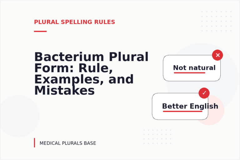 Bacterium Plural Form: Rule, Examples, and Mistakes Bacterium Plural Form: Rule, Examples, and Mistakes