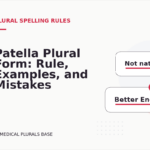 Patella Plural Form: Rule, Examples, and Mistakes