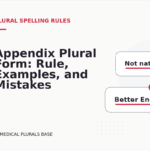 Appendix Plural Form: Rule, Examples, and Mistakes