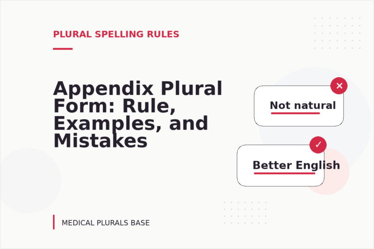 Appendix Plural Form: Rule, Examples, and Mistakes Appendix Plural Form: Rule, Examples, and Mistakes