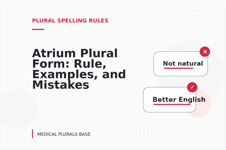 Atrium Plural Form: Rule, Examples, and Mistakes Atrium Plural Form: Rule, Examples, and Mistakes