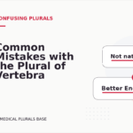 Common Mistakes with the Plural of Vertebra