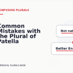 Common Mistakes with the Plural of Patella
