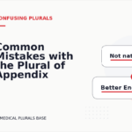 Common Mistakes with the Plural of Appendix