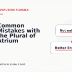 Common Mistakes with the Plural of Atrium